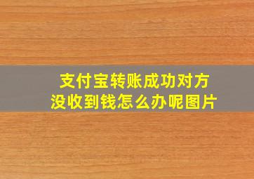 支付宝转账成功对方没收到钱怎么办呢图片