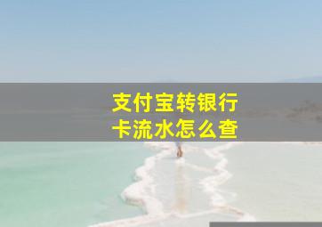 支付宝转银行卡流水怎么查