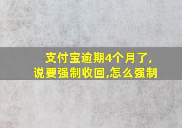 支付宝逾期4个月了,说要强制收回,怎么强制