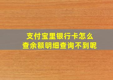 支付宝里银行卡怎么查余额明细查询不到呢