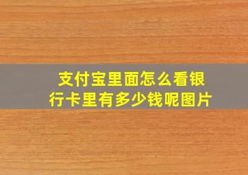 支付宝里面怎么看银行卡里有多少钱呢图片