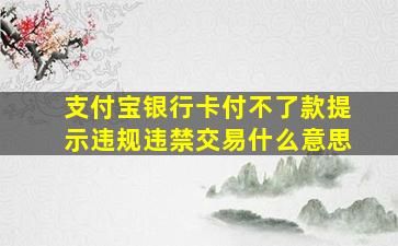 支付宝银行卡付不了款提示违规违禁交易什么意思