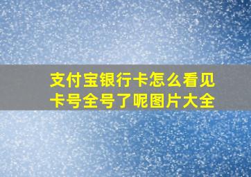 支付宝银行卡怎么看见卡号全号了呢图片大全