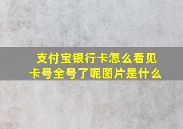 支付宝银行卡怎么看见卡号全号了呢图片是什么