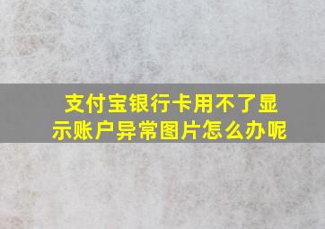 支付宝银行卡用不了显示账户异常图片怎么办呢