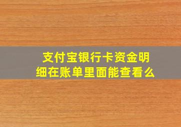 支付宝银行卡资金明细在账单里面能查看么