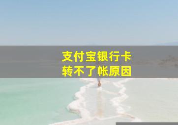 支付宝银行卡转不了帐原因