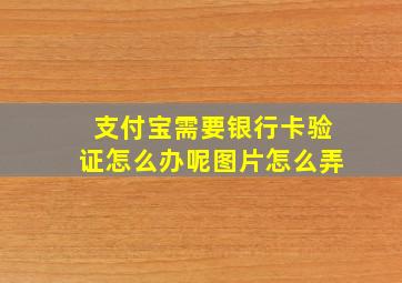 支付宝需要银行卡验证怎么办呢图片怎么弄