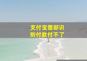 支付宝面部识别付款付不了