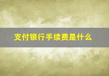 支付银行手续费是什么