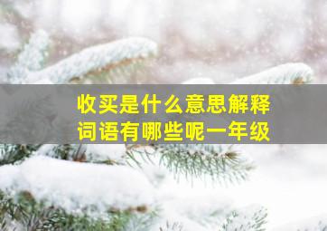 收买是什么意思解释词语有哪些呢一年级