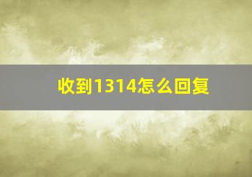 收到1314怎么回复