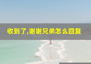 收到了,谢谢兄弟怎么回复