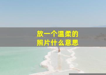 放一个温柔的照片什么意思