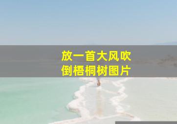 放一首大风吹倒梧桐树图片