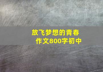 放飞梦想的青春作文800字初中