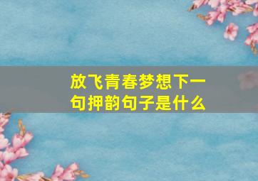 放飞青春梦想下一句押韵句子是什么