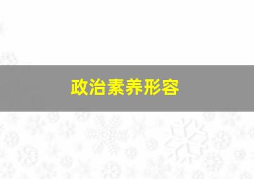 政治素养形容