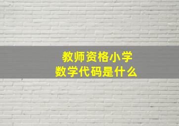 教师资格小学数学代码是什么