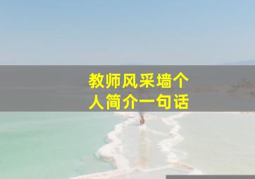 教师风采墙个人简介一句话