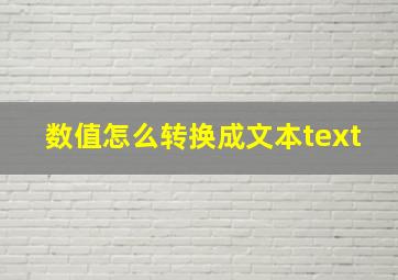 数值怎么转换成文本text