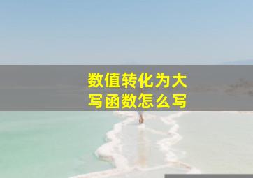 数值转化为大写函数怎么写