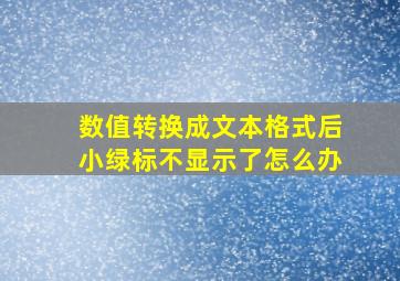 数值转换成文本格式后小绿标不显示了怎么办