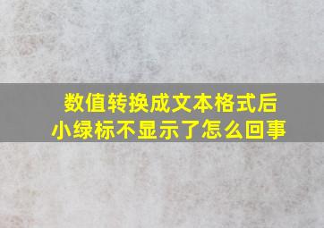 数值转换成文本格式后小绿标不显示了怎么回事