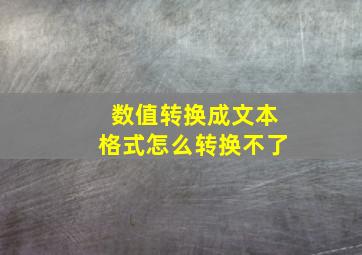 数值转换成文本格式怎么转换不了