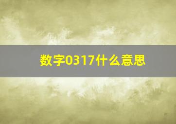 数字0317什么意思