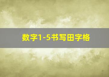 数字1-5书写田字格