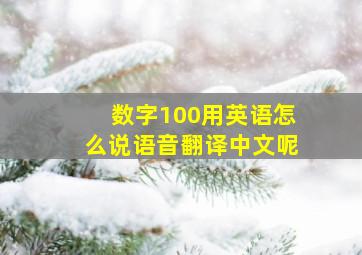 数字100用英语怎么说语音翻译中文呢