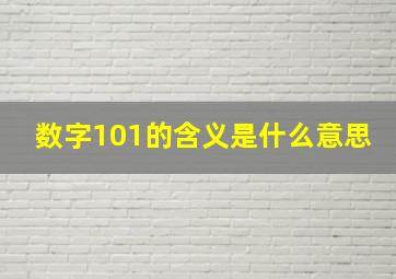 数字101的含义是什么意思