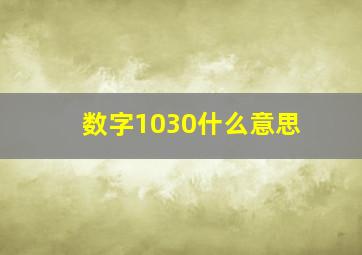 数字1030什么意思