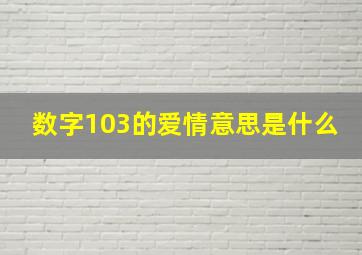 数字103的爱情意思是什么