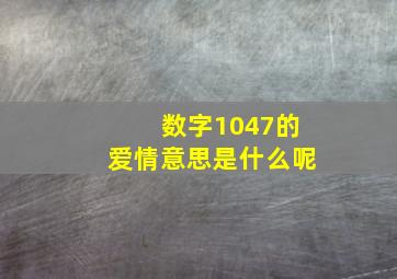 数字1047的爱情意思是什么呢