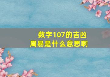 数字107的吉凶周易是什么意思啊