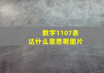 数字1107表达什么意思呢图片