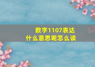 数字1107表达什么意思呢怎么读