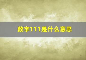 数字111是什么意思