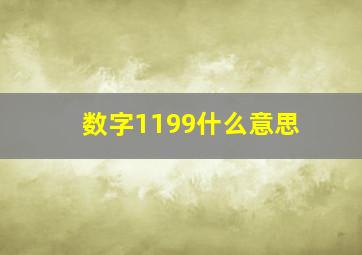 数字1199什么意思