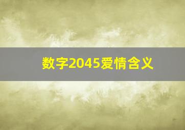 数字2045爱情含义