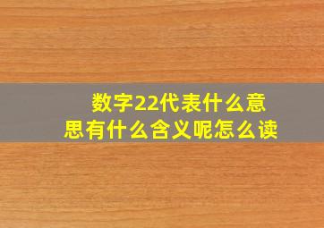 数字22代表什么意思有什么含义呢怎么读