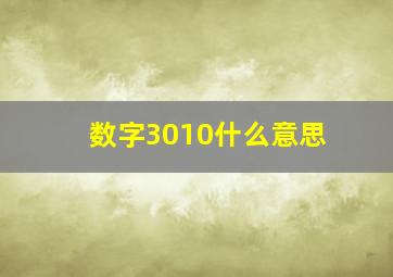 数字3010什么意思