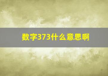 数字373什么意思啊