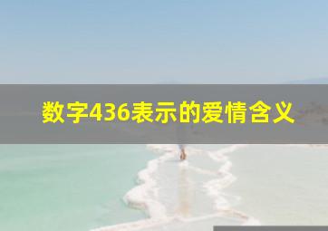 数字436表示的爱情含义