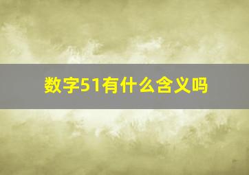 数字51有什么含义吗