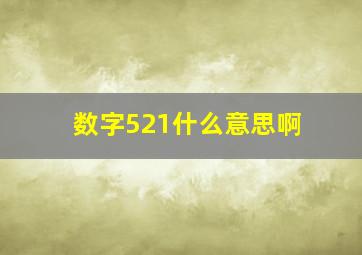 数字521什么意思啊