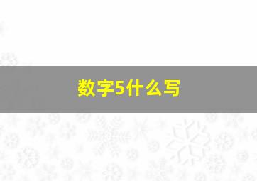 数字5什么写