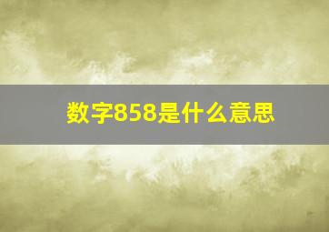 数字858是什么意思